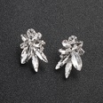 Alloy Fashion Flowers earring  Alloy NHHS0136Alloypicture4