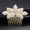 Alloy Fashion Geometric Hair accessories  Alloy NHHS0060Alloypicture5