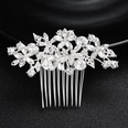 Alloy Fashion Flowers Hair accessories  Alloy NHHS0029Alloypicture9
