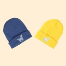 Hot selling fashion Pure color knitted embroidery butterfly warm woolen hat wholesalepicture24