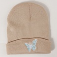 Hot selling fashion Pure color knitted embroidery butterfly warm woolen hat wholesalepicture30