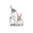 nouveaux stickers muraux deux lapins mignons chambre denfants dcoration de la maison stickers muraux amoviblespicture14