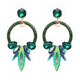 Plastic Fashion Geometric earring  green NHJJ4563greenpicture7