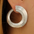 Simple Alloy  earring  Alloy  NHGY0920Alloypicture4