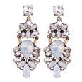 Occident and the United States alloy Rhinestone earring black NHJQ6521picture3