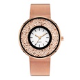 Leisure Ordinary glass mirror alloy watch Rose alloy NHSY0345picture6