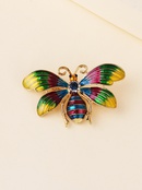 Venta caliente nueva moda aleacin aceitada color mariposa broche al por mayorpicture10