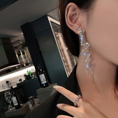 Snake-shaped rhinestone exaggerated earrings new Korean style long earrings wholesale