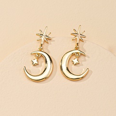 Popular Jewelry 1 Pair of Star and Moon Hot Selling Earrings wholesale