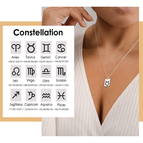 Stainless steel 12 constellation pendant necklace's discount tags