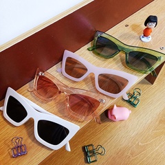 new fashion frame sunglasses