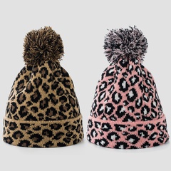 Cross-Border Knitted Hat Female Autumn and Winter Korean Style All-Matching Internet Celebrity Woolen Cap Male Fur Ball Leopard Print Japanese Cute Student Cold Tide