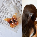 Mode Schmetterling PC Fang Clip transparent mittlere Haarspange Haarnadel Kopfschmuck Haarschmuck weiblichpicture6