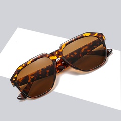 Lunettes de soleil de grenouille de mode européennes et américaines à grand cadre lunettes de soleil PC pilote lunettes de soleil de sports de plein air