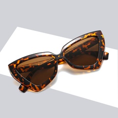 European and American sunglasses triangle cat eye sunglasses men and women retro trend glasses jelly color sunglasses