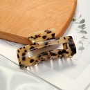 European and American Hairpin Korean Grab Clip Female Tortoiseshell Leopard Print Hair Accessoriespicture7