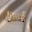 Korean personality butterfly pearl highquality earringspicture5