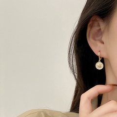 Korean Fashion Geometric Earrings Personality Zircon Star Earrings Female Design Temperament Earrings