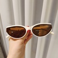 2021 new cat eye sunglasses European and American crossborder small frame retro sunglasses trendy glassespicture22