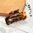 European and American Hairpin Korean Grab Clip Female Tortoiseshell Leopard Print Hair Accessoriespicture11