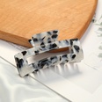 European and American Hairpin Korean Grab Clip Female Tortoiseshell Leopard Print Hair Accessoriespicture13