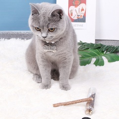 Bâton de bois naturel chat jouet à mâcher dents propres collation bâton molaire