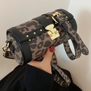 Niche design small bag 2021 new fashion messenger bag leopard print autumn and winter chain sense cylinder bagpicture20