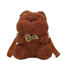 Internet Celebrity Cute Small Bag Womens Bag 2021 New Fashion Autumn and Winter Plush Cartoon Little Bear Pattern Bag Lovely Girl One Shoulder Messenger Bagpicture21
