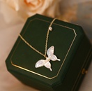 L247 Beautiful Girl Freshwater Pearl TikTok White Shell Fritillary Butterfly Necklace Clavicle Chain Titanium Steel Plated 18Kpicture10