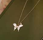 L247 Beautiful Girl Freshwater Pearl TikTok White Shell Fritillary Butterfly Necklace Clavicle Chain Titanium Steel Plated 18Kpicture11
