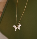 L247 Beautiful Girl Freshwater Pearl TikTok White Shell Fritillary Butterfly Necklace Clavicle Chain Titanium Steel Plated 18Kpicture13