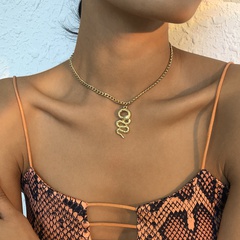 European and American cross-border jewelry single-layer simple punk snake-shaped necklace retro necklace
