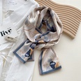 Doublesided long silk scarf thin section professional temperament hair band scarfpicture39
