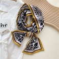 New silk scarf seasons long strip decoration professional scarfpicture64