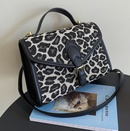 handbags 2021 new trendy fashion leopard print one shoulder messenger bag portable small square bagpicture17