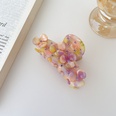 Elegant temperament hairpin retro flower medium hair catching the back of the head of Korea catching the clip plate hair shark clippicture20