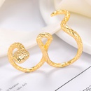 Style europen et amricain tendance design sens anneau d39enroulement en forme de serpent anneau du zodiaque en grospicture18
