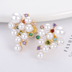 Korean version pearl grape colorful zircon tropical fruit stainless steel earrings