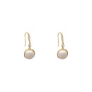 Fashion pearl earrings 2021 new trendy ear hooks Korean retro copper earrings women wholesalepicture13