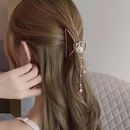 Korean pearl tassel grasping clip hairpin 2021 new trendy back head clip wholesalepicture11