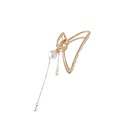 Korean pearl tassel grasping clip hairpin 2021 new trendy back head clip wholesalepicture14