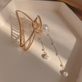 Korean pearl tassel grasping clip hairpin 2021 new trendy back head clip wholesalepicture15