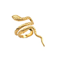 Single 18k gold snake-shaped copper earrings European and American personality creative non-pierced earrings