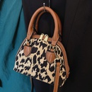autumn and winter popular leopard crossbody bag 2021 new trendy handbag small bagpicture24