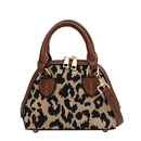 autumn and winter popular leopard crossbody bag 2021 new trendy handbag small bagpicture21