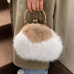 Autumn and winter small bag 2021 new female bag plush chain messenger handbag wholesale