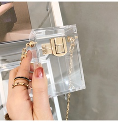 2021 neue trendige Acryl-transparente Tasche diagonale Mini-Tasche Lippenstift-Abendessen-Ketten-Umhängetasche