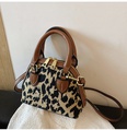 autumn and winter popular leopard crossbody bag 2021 new trendy handbag small bagpicture26