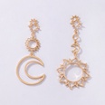 Alloy Simple Geometric earring  Alloy NHGY2390Alloypicture3