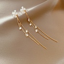 Korea flower copper earrings long tassel retro design personality zircon ear jewelrypicture13